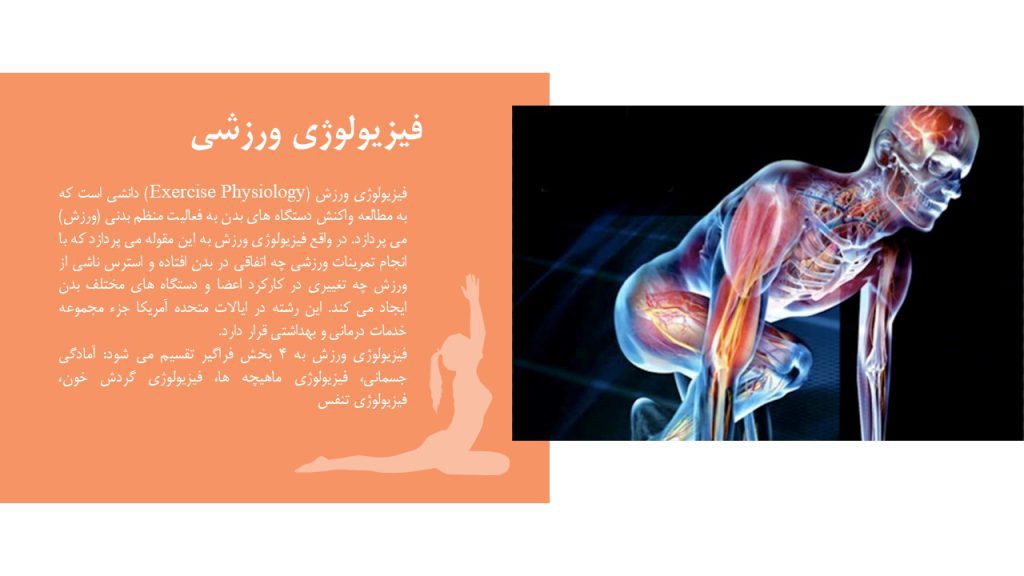 نقش فیزیولوژی ورزش در سالمندان