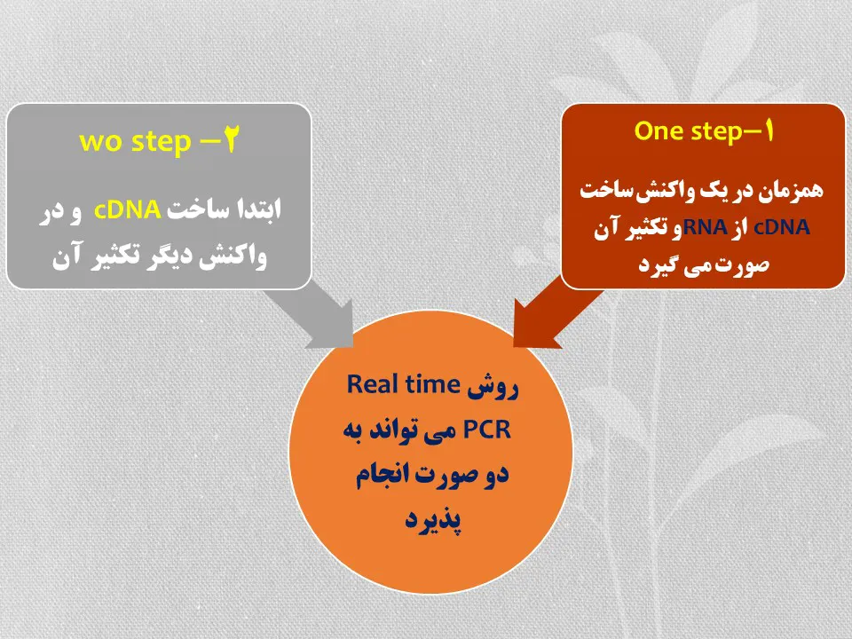 روش های دستگاه ریل تایم PCR