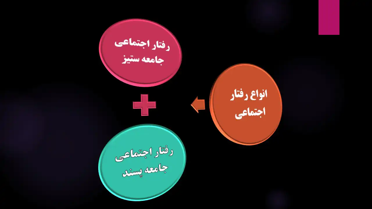 رفتار اجتماعی