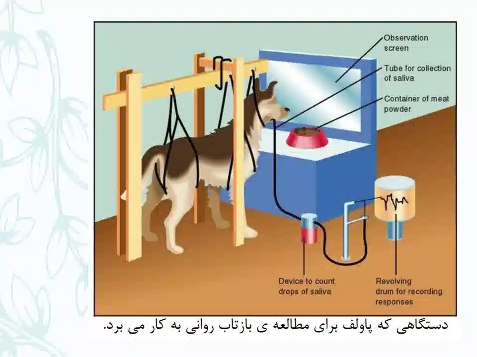 که پاولف برای مطالعه بارتاب روانی به کار می برد